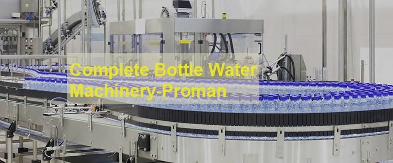 Water Beverage Production Line Customized Plastic Flat Chain Roller Conveyor for Filling Machinery