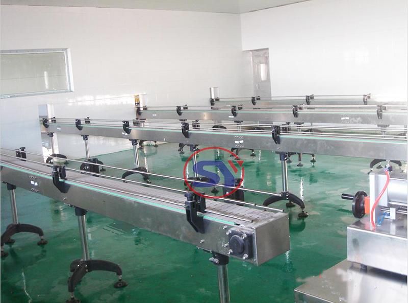 Stainless Steel Modular Belted Conveyor&Conveyor System