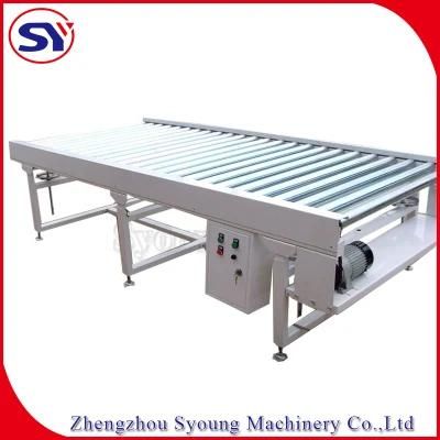 China Best Quality Medical Products Assemble Driving Belt Roller Conveyor Line