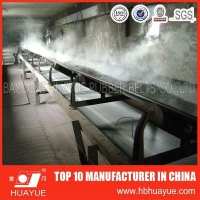 Supply Heat Resistant Conveyor Belt with High Quality