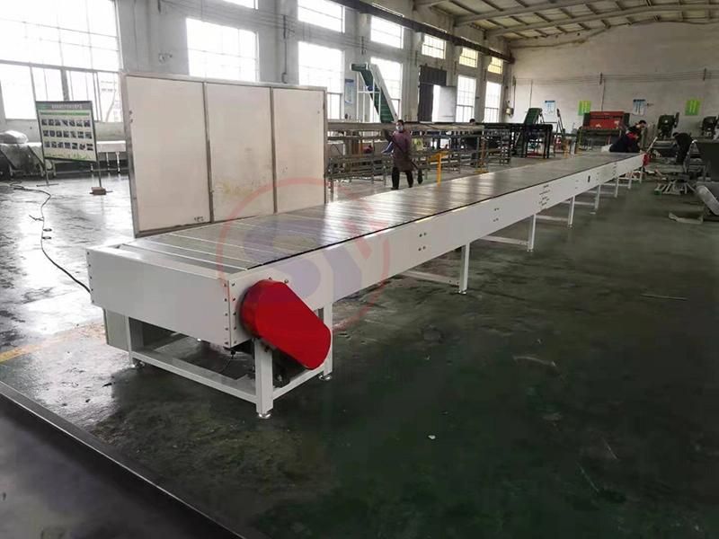 2020 China Supply Bottle Labelling Scraper Chain Drag Conveyor (SYCP)