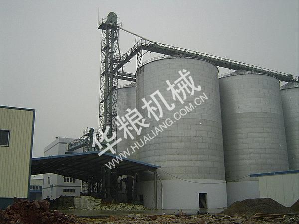 Bucket Elevator with Platform and Ladder