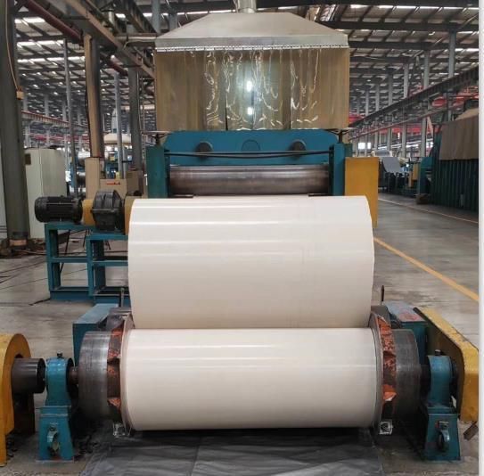 4000mm Width White Heat Resistance Belt Conveyor for Sugar Plant