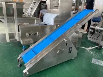 Chain Type Conveyor for Taking Away Finished Pouches