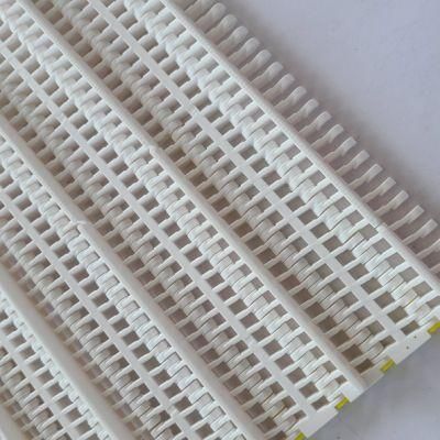 Flat Top Chain Dynamic Filter Modular Plastic Conveyor Belt