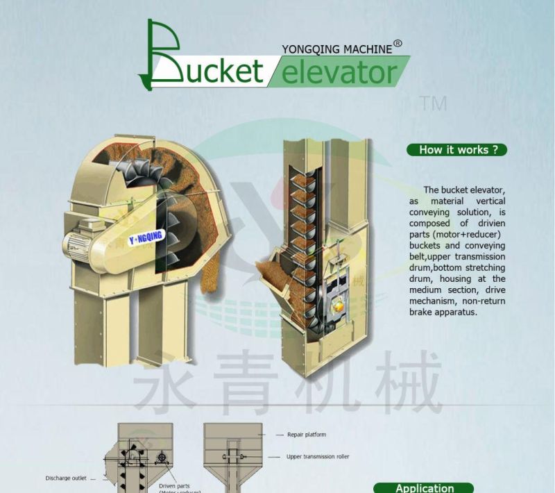 Stainless Steel Vertical Bucket Elevator for Paddy Rice