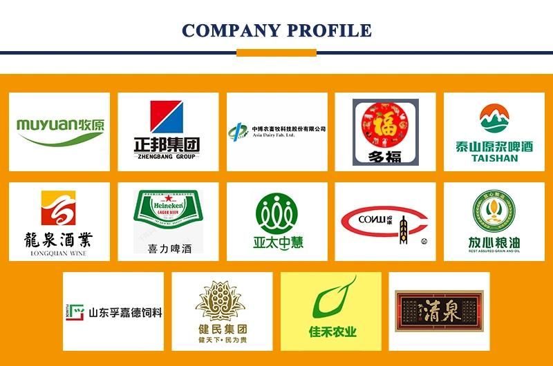 Shelley Factory Machine Chain Grain Drag Conveyor for Sale