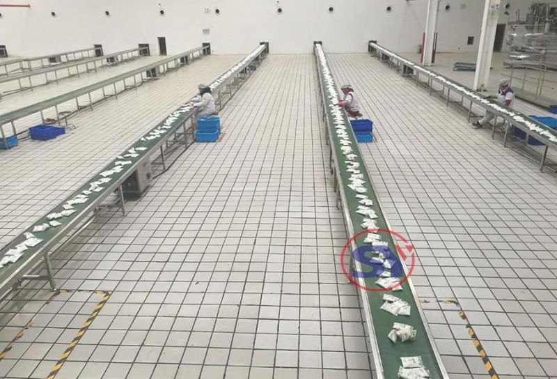 SUS304/316 Automatic Belt Conveyor for E-Commerce Distribution