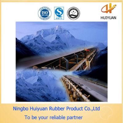Cold Resistant Belt for Conveying Materials to Cold Storage