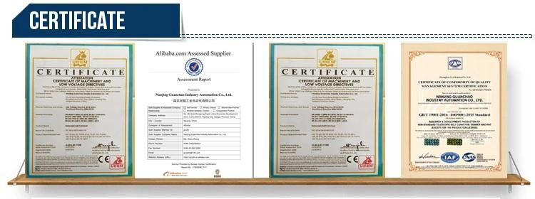 Ce Certificate Belt Conveyor