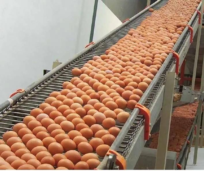 Food Grade Stainless Steel Conveyor Belt