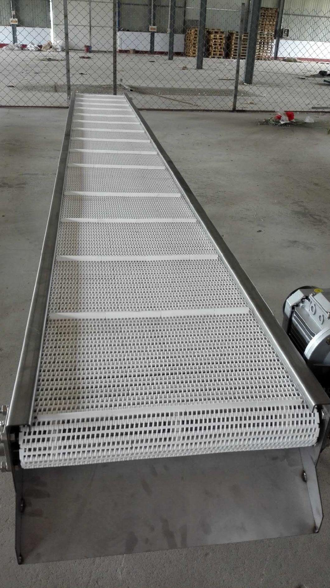 900 Plastic Conveyor Belts with 27.2mm Pitch for Cartons Processing Industry