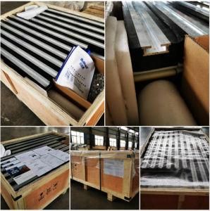 China Conveyor Wear Strip for Loading System