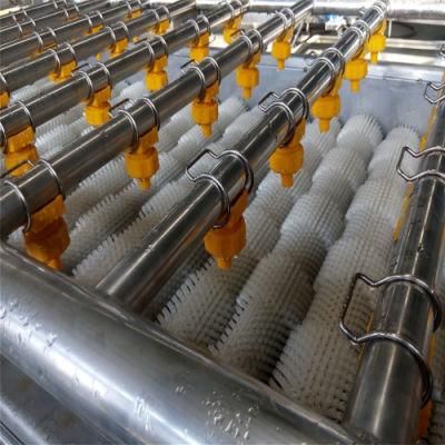 Factory Price Washing Conveyor, Vegetable Conveyor, or Food Conveyor Belt