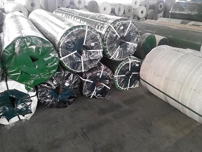 Conveyor Belt Plastic (ESS80/2: 0+2.5J4/4.5B/AS)