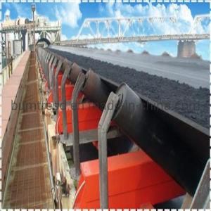 Conveyor Carrying Through Idlers for Gold Mining Duty Application