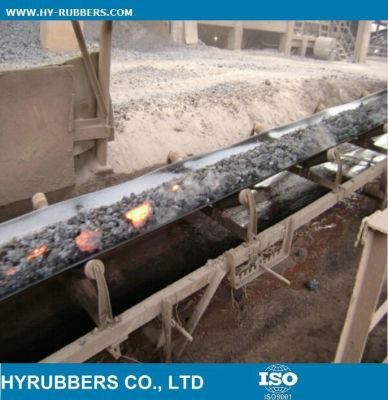 Special Conveyor Belt Flame Retardant Conveyor Belt