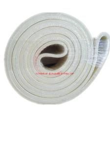 Polyester Endless Flat Belt for Industry
