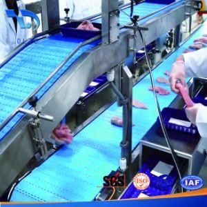 Food Grade Belt Conveyor Line for Salmon