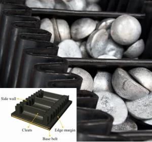 High-Angle Conveyor Belting for Mining Coal Cement Port Power Casting Metallurgy