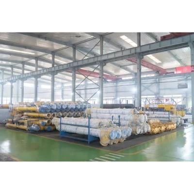 Spiral Type Screw Sdmix Naked 168mm China Rendering Machine Conveyor