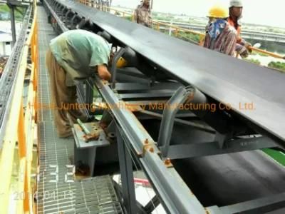 Chinese Factory Supply Link Conveyor