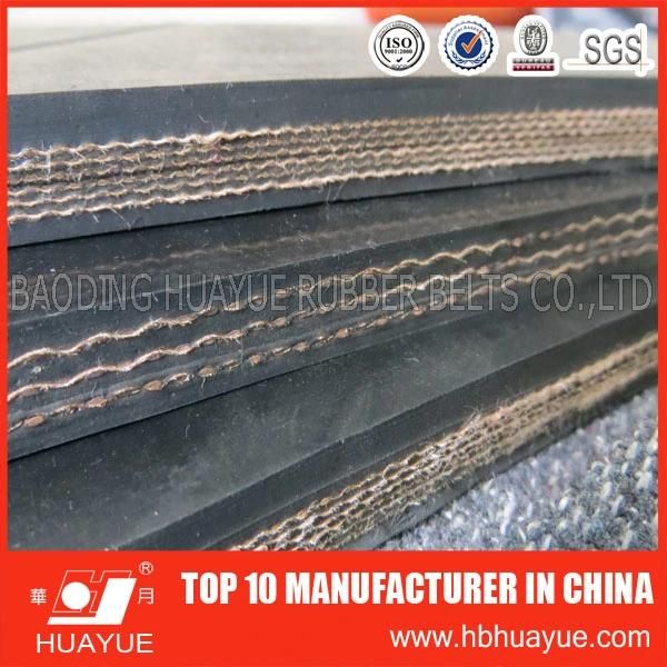 Manufacturer Supply Heat Resistant Conveyor Belts