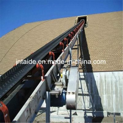 Conveyor Belt in Nylon or Rubber Conveyor Belt