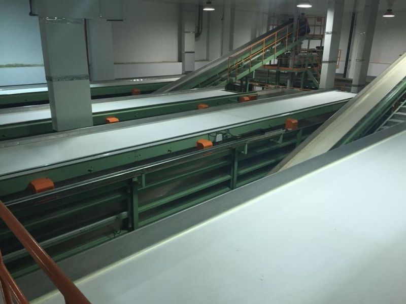 Tobacco Processing conveyor belt