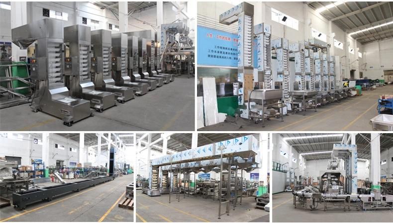 Chain Grain Food Z Type Elevator Conveyor for Packing Machine