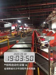 High Speed Cross Belt Sorting Conveyor for Express Parcels