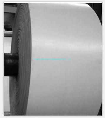 White Rubber Belts Conveyor Ep150 for Chocolete Plant