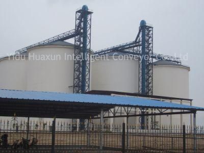 Factory Custom Vertical Grain Bucket Elevator with Large Capacity