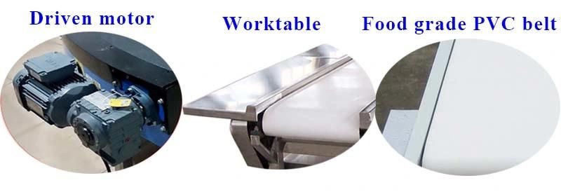 Work Table Packing Sorting Motorised Belt Conveyor Price for Fruit Picking