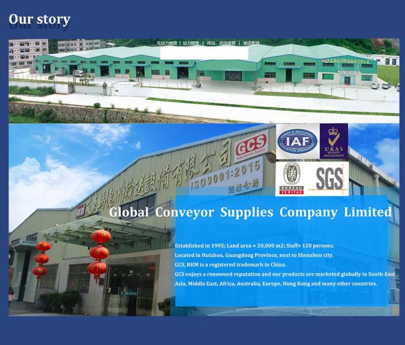 Factory Custom Gravity Steel Conveyor Roller/Pallet Roller Conveyor Systems