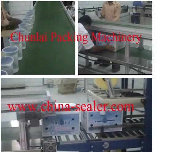 Double Layers Chain Type Conveyor Belt