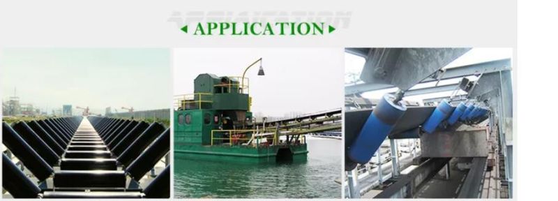 HDPE Belt Conveyor Polymer Machined UHMWPE Rollers
