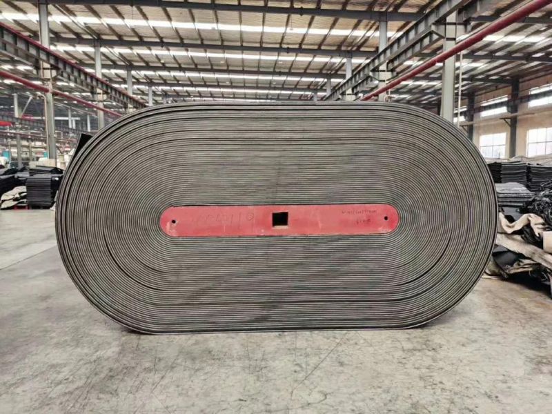 Nylon Stick Crossing Ep300 Conveyor Belt for Heavy Duty Mining