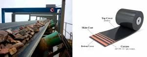 Wear Proof Belting Conveyor for Cement Mining Coal Stone with Ep Nn