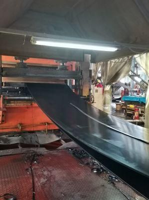 Zhyl Wear-Resistant Ep Conveyor Belt for Sale