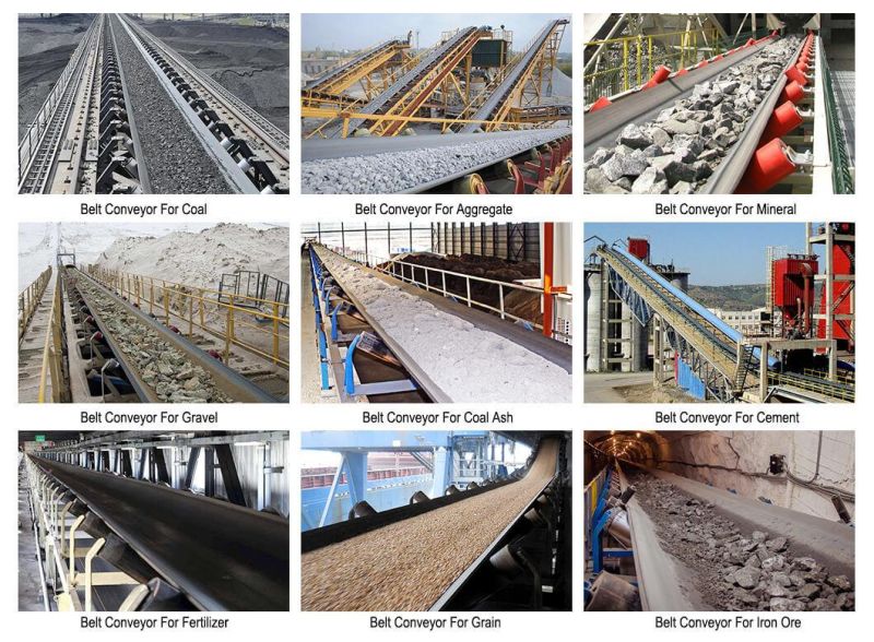 Corrosion Resistance Belt Conveyor Used for Fertilizer Plant