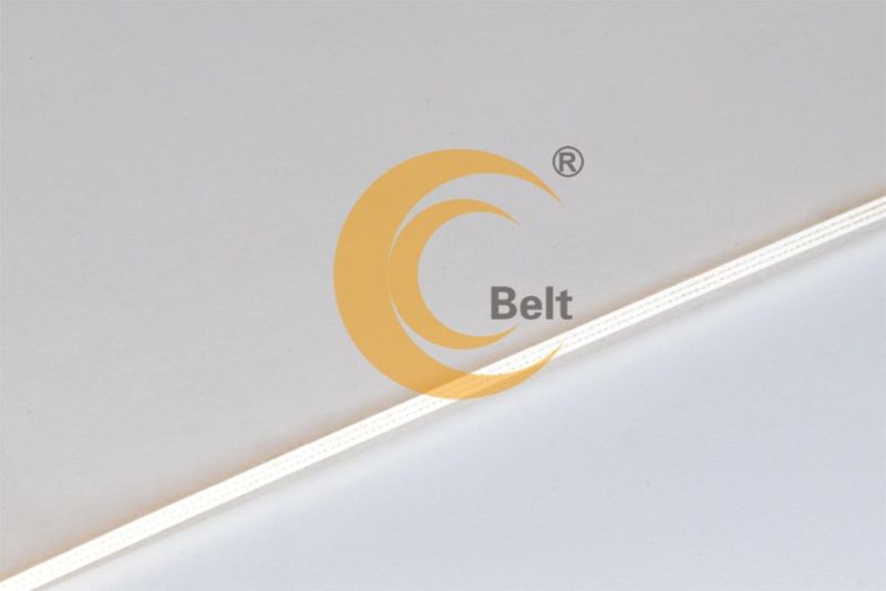 white food grade conveyor belt both sides PVC