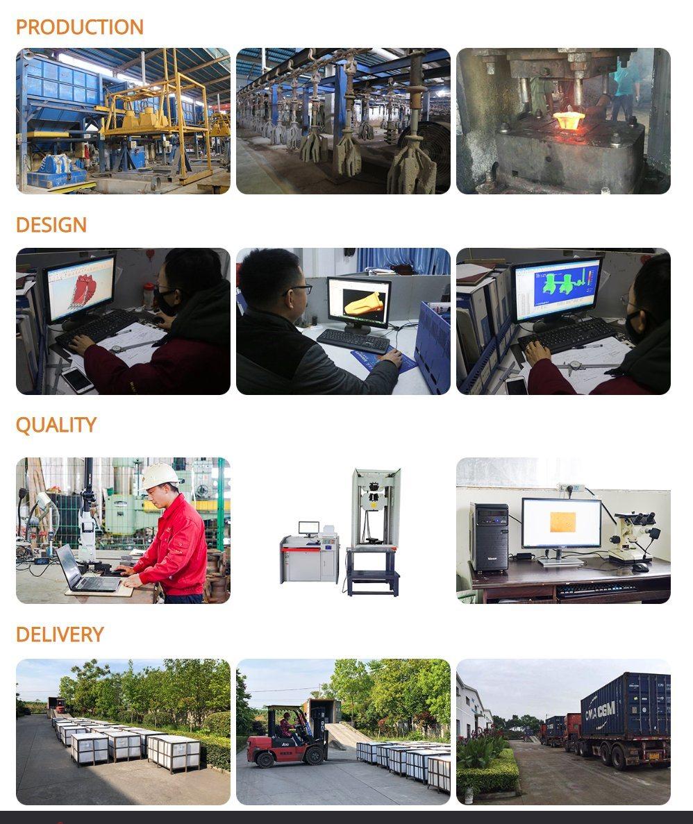 OEM CE/ISO9001: 2015 Conveyors Wanxin/Customized Plywood Box Steel Transmission Link Scraper Conveyor Chain