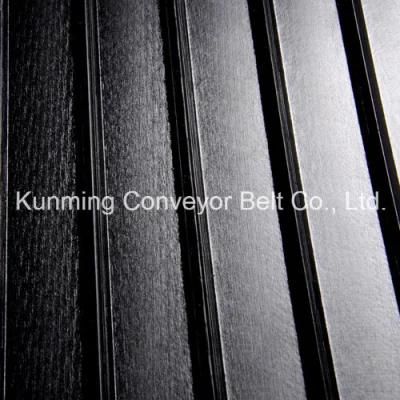 Conveyor Belt PVC Food Grade Light Industry (EM120/2: 0.5DT+3.0BLS/6.0B)
