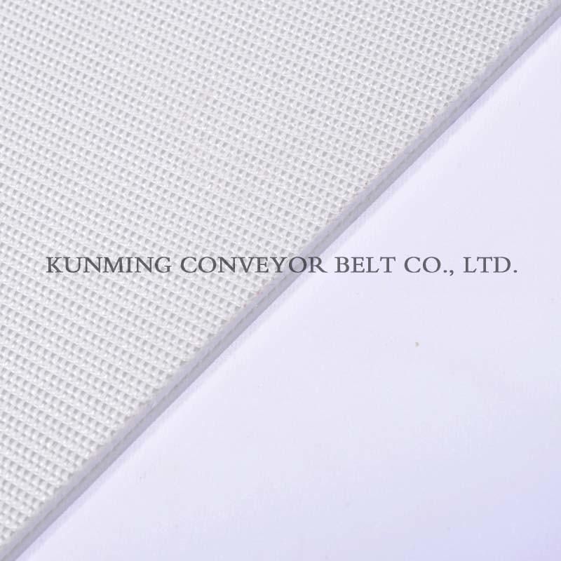 Conveyor Belt PVC (EM120/2: 0+1.0/3.0W)