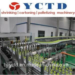 Chain Plate Conveyor for Production Line (YCTD)