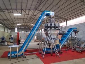 Blue Belt Conveyor Price for Cabbage