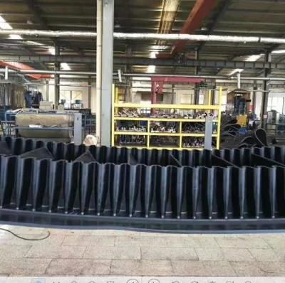 Vertical Inclined Cleated Rubber Conveyor Belt for Power Cement Plants