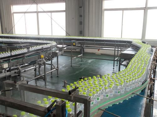 Brand New Packing Roller Conveyor Loading And Unloading Conveyos used on 4 m-12 m stainless steel transferring conveyor belt used in packing line