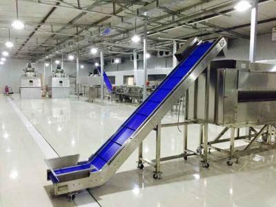 Infeed Conveyor with Blue PU Belt, Infeeder, Food Grade Conveyor, Discharger Conveyor